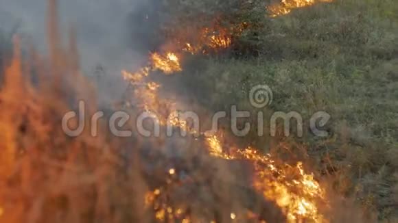 野火火焰和烟雾在自然界视频的预览图