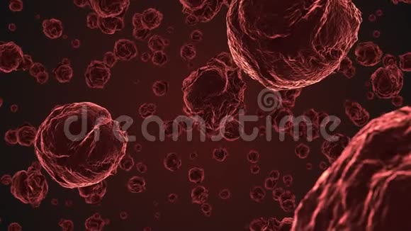 显微镜下提取红病毒细胞视频的预览图