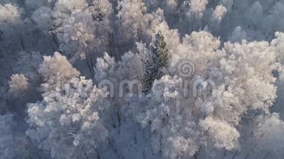 乡村的冬季景观视频的预览图