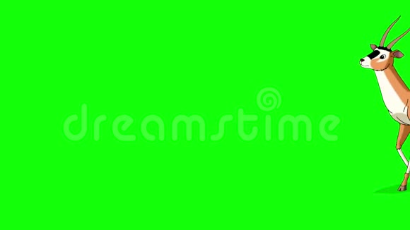 羚羊跑绿色屏幕上的动画运动图形视频的预览图