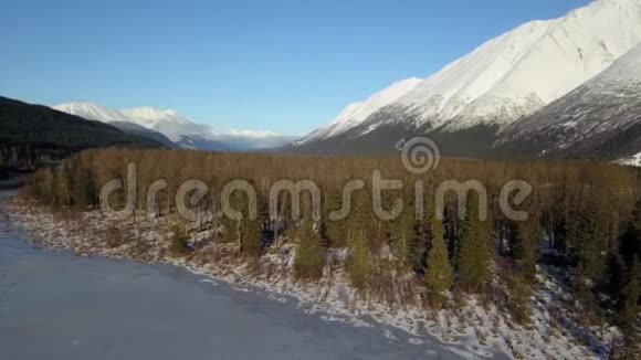 阿拉斯加的冰冻荒野视频的预览图