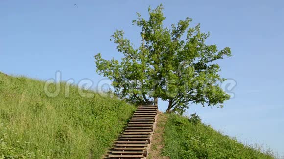 木制楼梯山视频的预览图