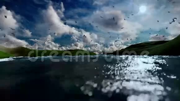 青山和湖海鸥飞翔美丽的下午云视频的预览图