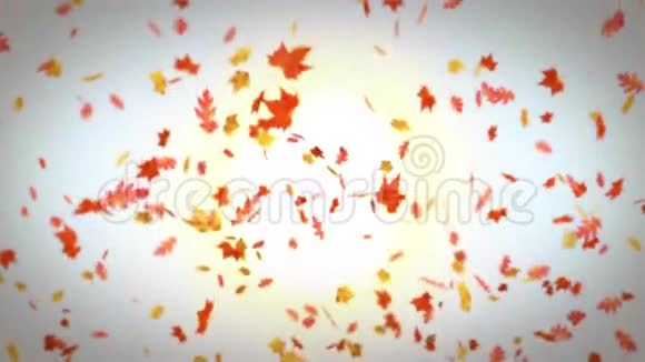 感恩节快乐带着木纹的落叶视频的预览图