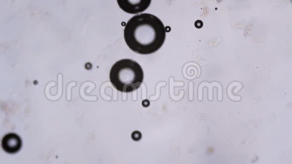 显微镜下有水泡视频的预览图