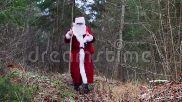 森林小径上的圣诞老人视频的预览图