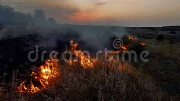 野火火焰和烟雾在自然界视频的预览图