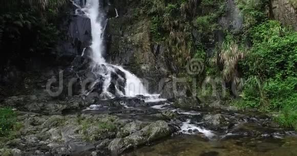 热带雨林山脉的小瀑布视频的预览图