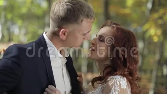 新郎和新娘在森林公园新婚夫妇接吻视频的预览图