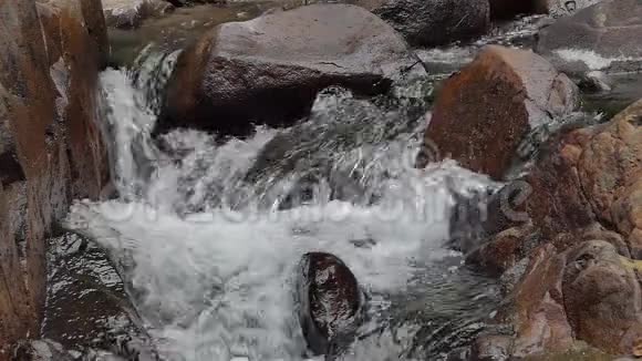 热带雨林中的瀑布视频的预览图