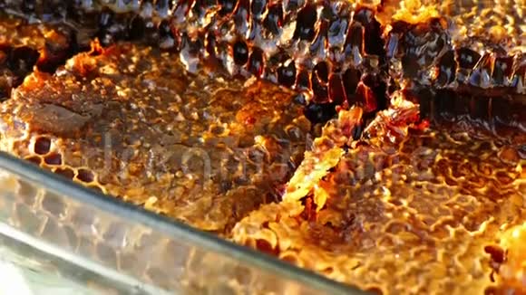 天然蜂窝蜂蜜特写天然蜂窝蜂蜜在玻璃碗蜂窝蜜蜂窝为早餐视频的预览图