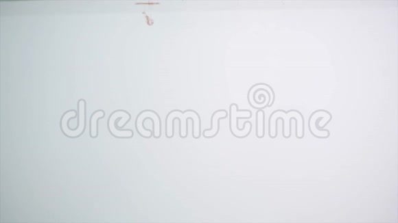 工作室在白色背景的水族馆里拍摄了泼水的红椒视频的预览图
