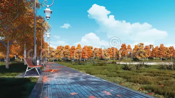 秋季公园的空铺人行道和长椅视频的预览图