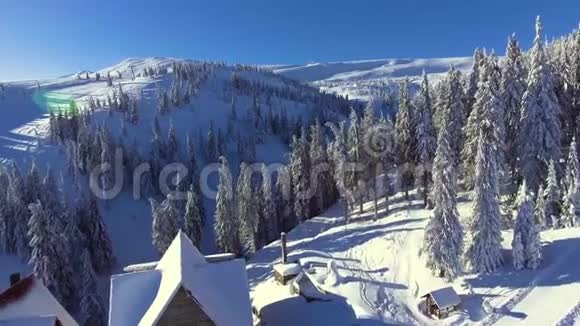 飞过山中的冬林视频的预览图