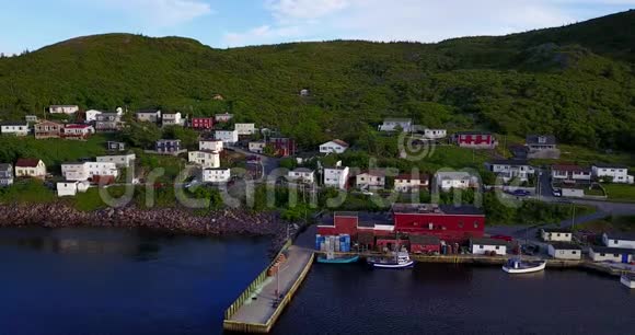 加拿大纽芬兰夏季美丽的佩特港视频的预览图