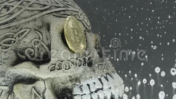 水族馆里的头骨和硬币比特币视频的预览图
