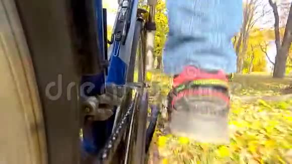 骑自行车骑在秋叶上视频的预览图