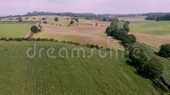 夏季在绿色的乡村田野上鸟瞰视频的预览图