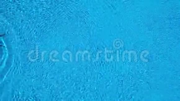 从顶部看当一个人在游泳池的水下游泳时视频的预览图