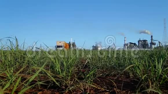 甘蔗工业工厂视频的预览图