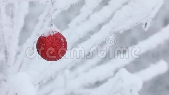 新年圣诞节和装饰品一个红色的玩具圣诞老人在森林里的树枝上摇摆下雪视频的预览图