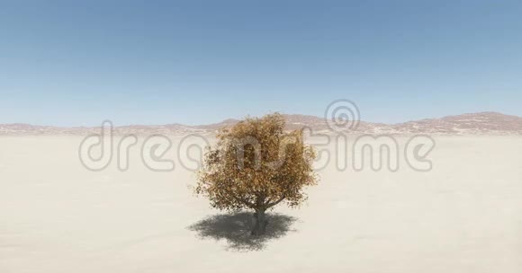 秋天荒野一棵孤独的树在风中摇曳视频的预览图