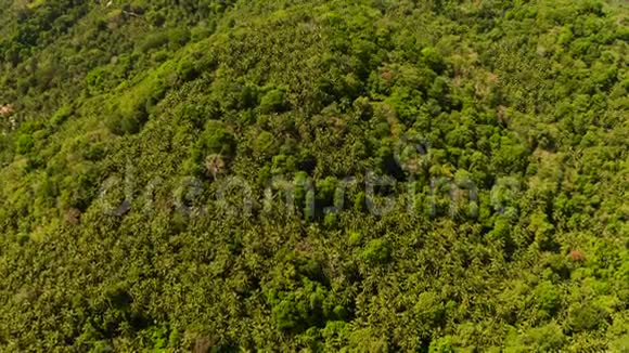 热带雨林景观菲律宾Camiguin视频的预览图