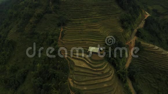越南北部萨帕的空中无人机稻米梯田的镜头2019年10月视频的预览图