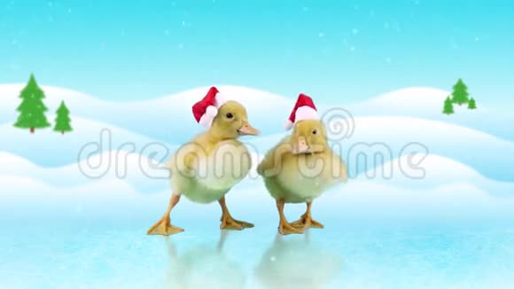 有趣的圣诞小鸭子戴着圣诞老人的红帽子滑到冰上视频的预览图