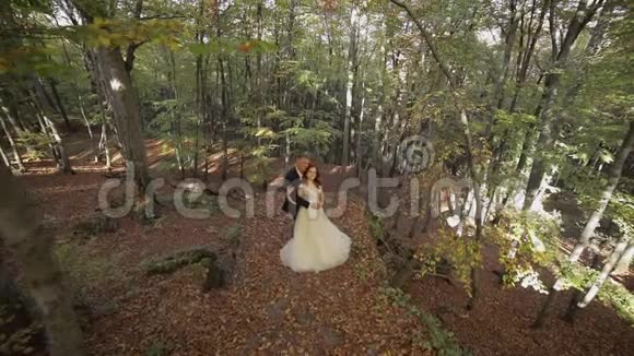 在森林公园和新娘新郎新婚夫妇幸福家庭视频的预览图