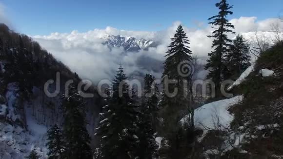 在索契的雪山上空飞行视频的预览图