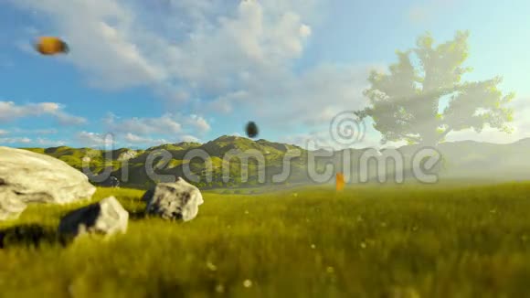 一个小男孩带着飞机玩具在绿色的草地上生命之树美丽的早晨视频的预览图