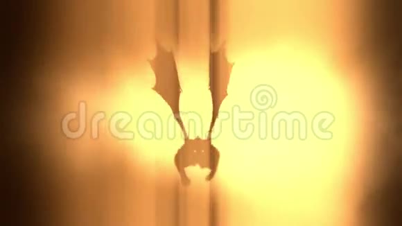 龙在明亮的火山背景上飞翔视频的预览图