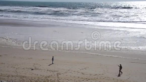 海沙和沙丘人们在海滩上玩耍和散步视频的预览图