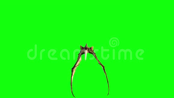 翼龙飞行三维动画绿色屏幕4K镜头视频的预览图