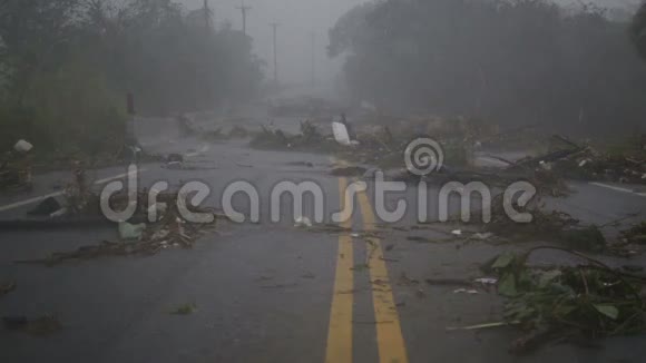 倒下的树木和抵御台风视频的预览图