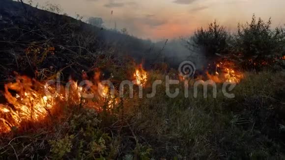野火火焰和自然中的烟雾视频的预览图