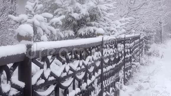 冬天降雪在城市里柔和的圣诞节早晨降雪视频的预览图