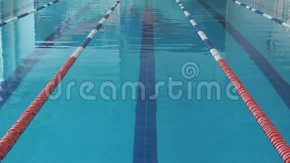 年轻的女孩戴着护目镜和帽子游泳爬行泳风格在蓝色的游泳池视频的预览图