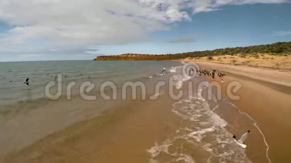 海岸线和天空的海洋视频的预览图