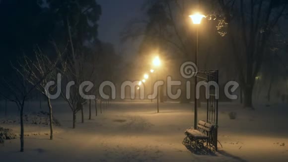 降雪公园夜灯视频的预览图