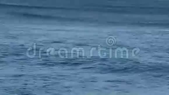 夏威夷毛伊岛的蓝色波浪时间推移视频的预览图