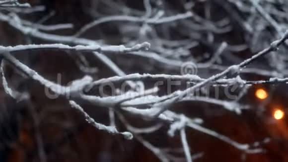 降雪公园夜灯视频的预览图