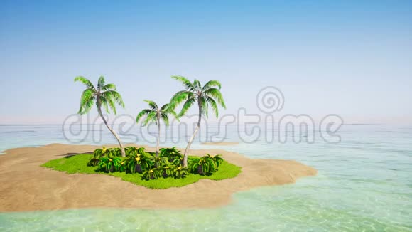 热带岛屿有棕榈树和晴朗的天空视频的预览图