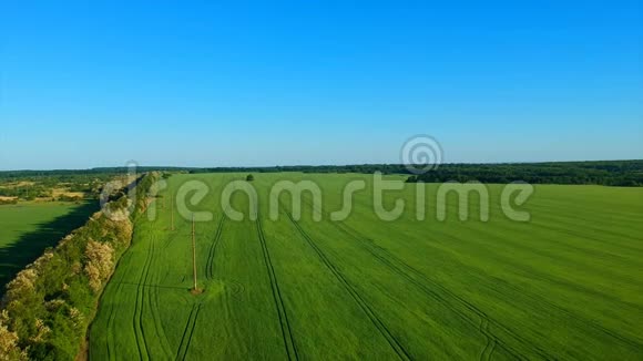 一片无边无际的绿色稻田与远处的村庄依画山相望视频的预览图