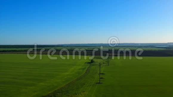 一片无边无际的绿色稻田与远处的村庄依画山相望视频的预览图