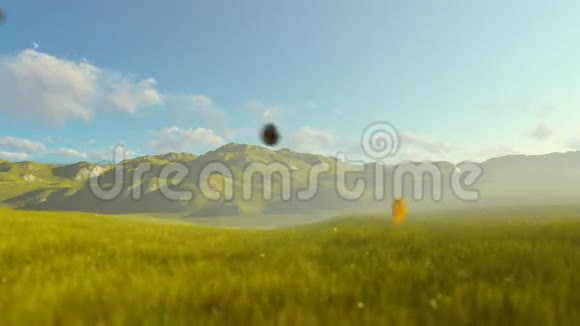 女人在绿色的草地上奔跑早晨视频的预览图