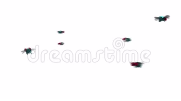 一群苍蝇卡通风格的3D动画阿尔法通道可循环视频的预览图