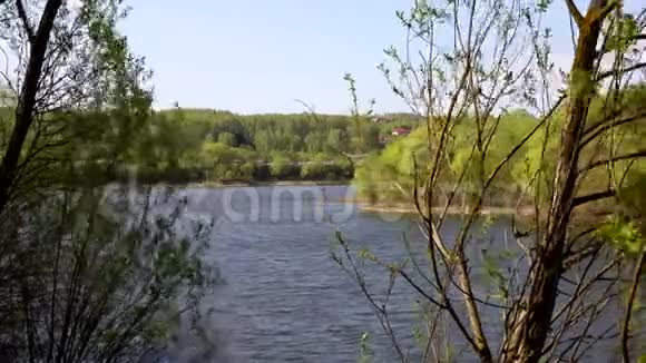 美丽的河景透过树木映着水上的云彩视频的预览图