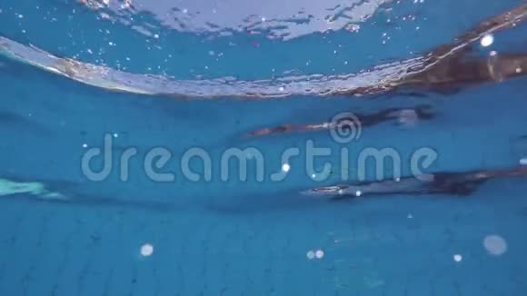 男孩在游泳池跳水视频的预览图